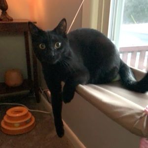 Meet your Posher, Michele